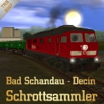 Schrottsammler